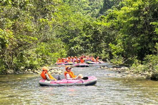 峡谷景区2025年暑期营收创新高AG真人旗舰厅靖西古龙山通灵